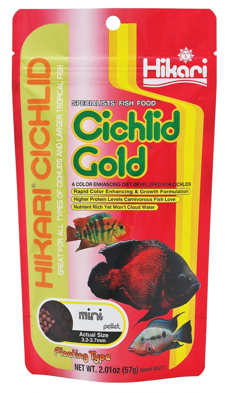 Hikari USA Inc Cichlid Gold 2OZ Mini Pellet, 57 g by Hikari