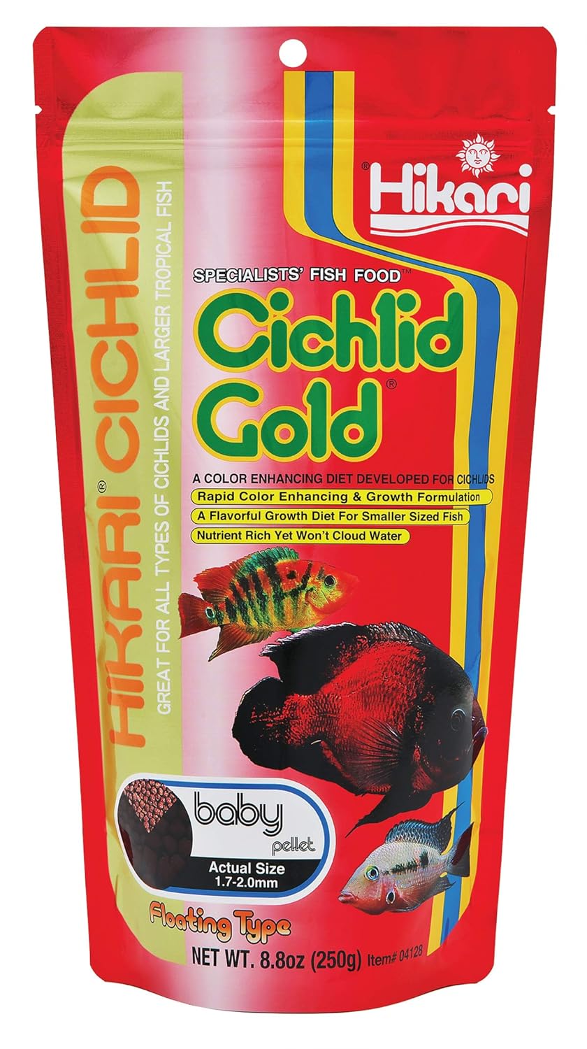 Hikari Cichlid Gold | 250Gm | Cichlid Food | Baby Pellet|Floating Type,Fish by Hikari