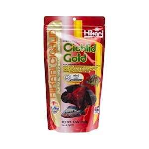Hikari Cichlid Gold Mini Pellet Aquarium Adult Fish Food, 250G, 1 Count by Hikari