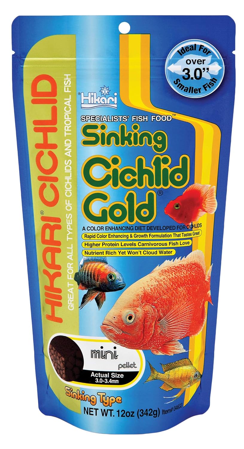 Hikari Cichlid Gold Sinking Pellet Fish Food For All Life Stages (Mini), 342g by Hikari