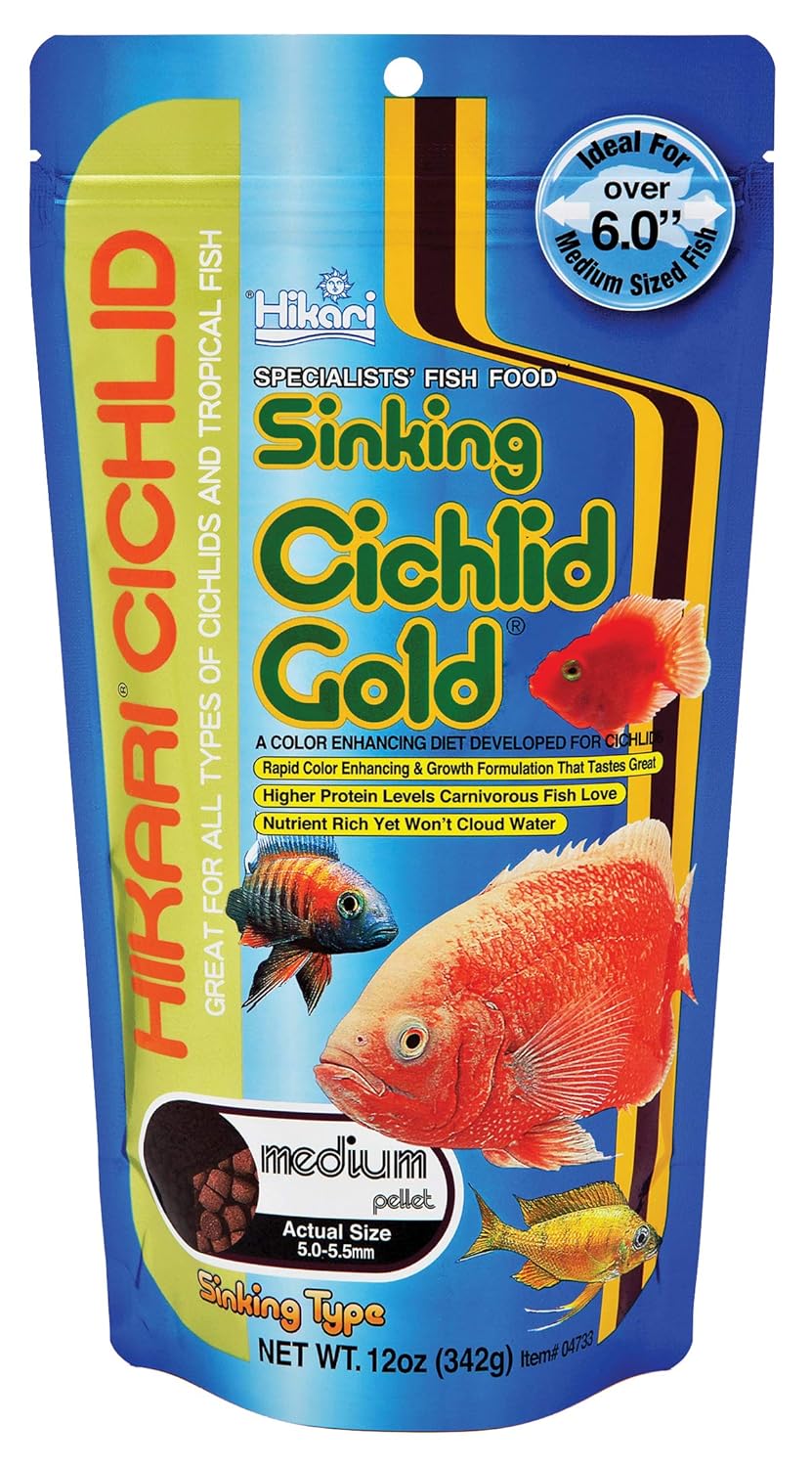 Hikari 12-Ounce Sinking Cichlid Gold Pellets for Pets, Medium by Hikari